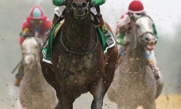 Carr’s Exaggerator photo wins Frutkoff Award