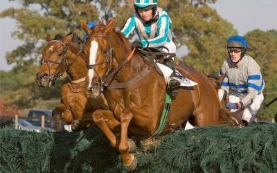 Good Night Shirt, Deputed Testamony newest Maryland Hall of Famers