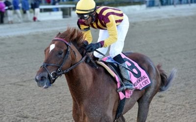 Irish War Cry earns top NJ-bred honors