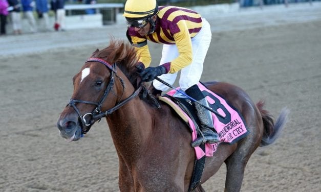 No Preakness horse, but Motion barn loaded for bear