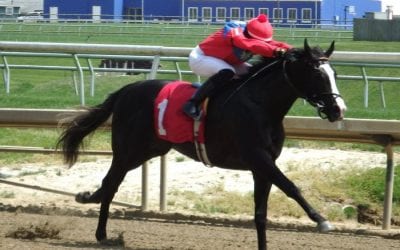 Delaware Park horses to watch: Strike Your Colors Stakes