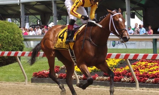 Asmussen earns $50,000 Pimlico trainer bonus