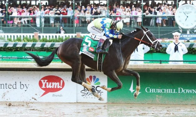 How low will odds for Always Dreaming go?