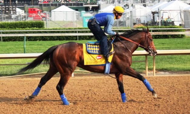 Bodemeister, the “almost” horse