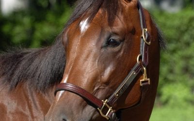 Tim Ritchey, keeping control at Delaware Park