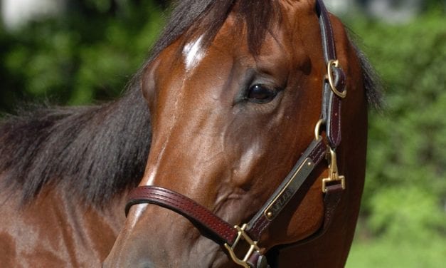 Tim Ritchey, keeping control at Delaware Park