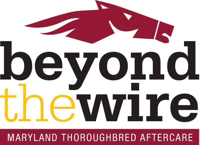 Beyond the Wire to receive Special Award of Merit