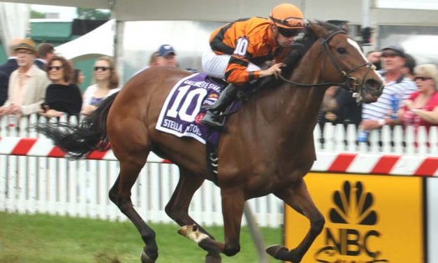 Cambodia earns first stakes score in Gallorette