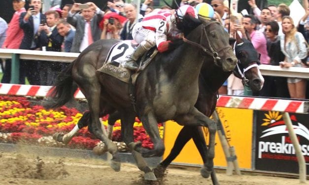 Preakness call-by-call gallery