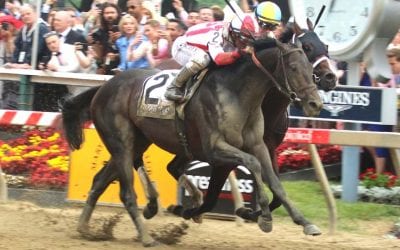Xpressbet to offer $25,000 Preakness win wager