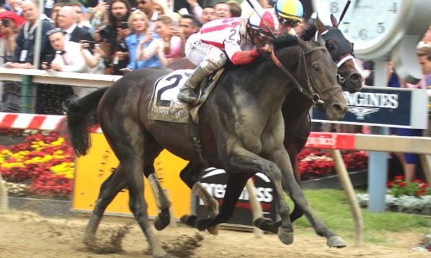 Pimlico picks and ponderings May 14, 2021