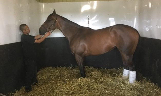 Schuler hoping Dance Queen jitterbugs to perfect start