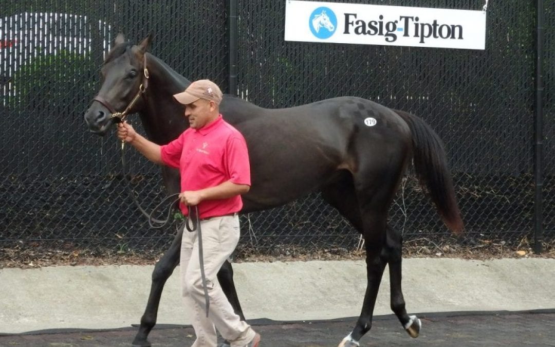 Fasig-Tipton: Maryland-breds shine on first day