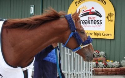 Pimlico unveils $3.7 million spring stakes schedule