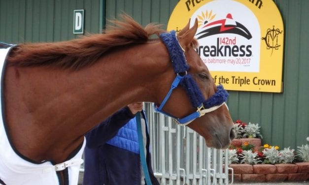 Preakness notes: Gunnevera arrives; Royal Mo breeze postponed
