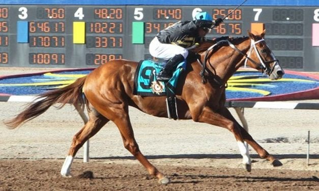Asmussen may have two for Preakness