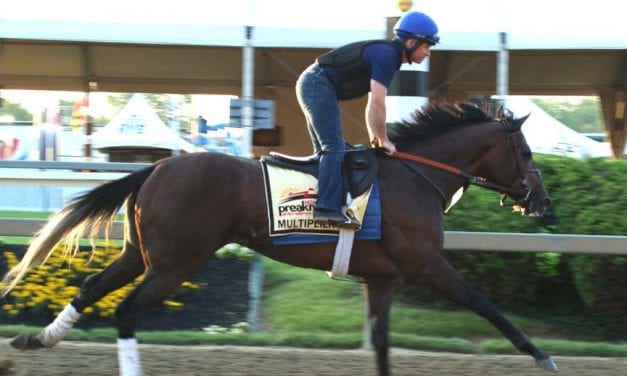 Preakness profiles: Multiplier