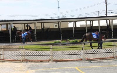 Expectations high on eve of Fasig-Tipton 2-year-old sale