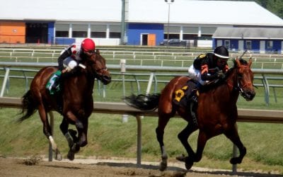 Midlantic regulators group takes steps to foster equine safety