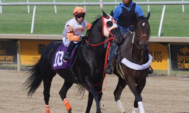 Ben’s Cat: 6 races to remember him by