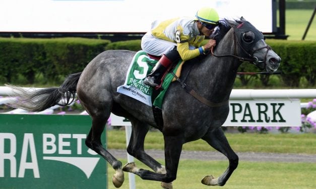 Motion stalwarts Ascend, Irish War Cry well following G1 efforts