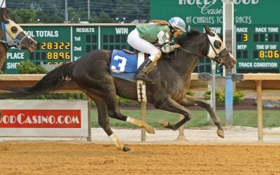 A maiden no more, Lion of Mine gets his retirement