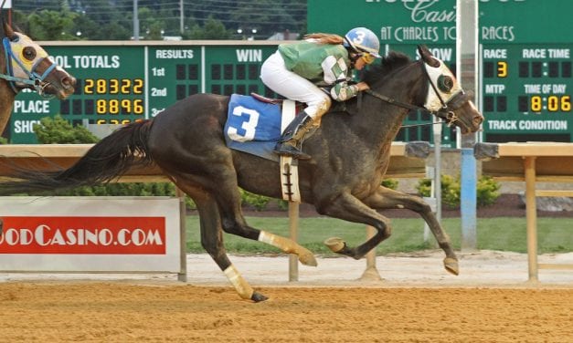 A maiden no more, Lion of Mine gets his retirement