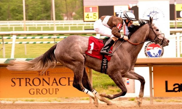 Yellow Agate, Shimmering Aspen to clash in Alma North