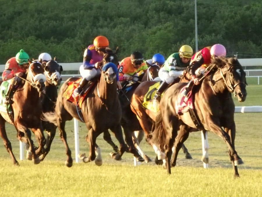 Frostmourne led them home to win the Penn Mile. Photo by The Racing Biz. Frostmourne
