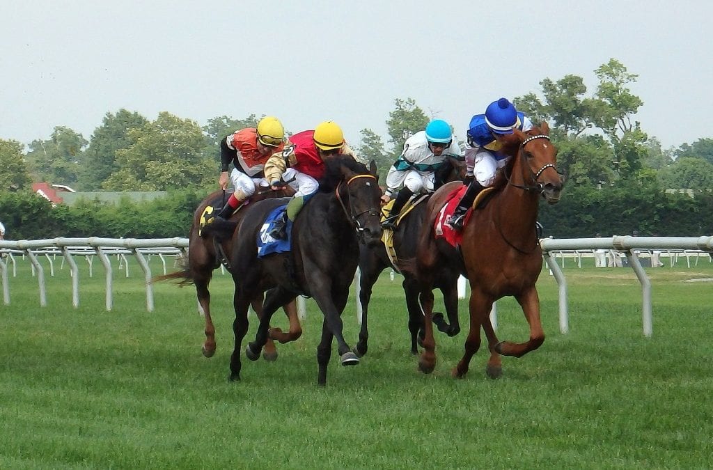 Christiana Stakes snippets