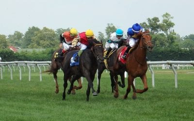 Christiana Stakes snippets