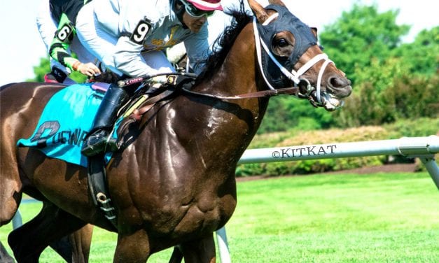 Delaware Park Racing Notebook, Vol. 2