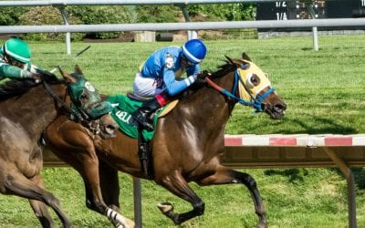 Tequilita headlines solid Obeah Stakes field