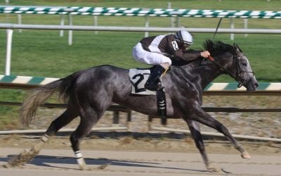 Four scratches later, Shimmering Aspen draws into CT Oaks