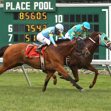 07-01-17 11 Bigger Picture_UNStks_01