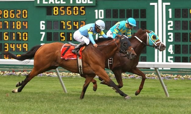 Bigger Picture sets track record in United Nations upset