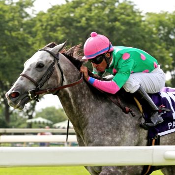 07-08-17 P 09 Pure Sensation FIN 02