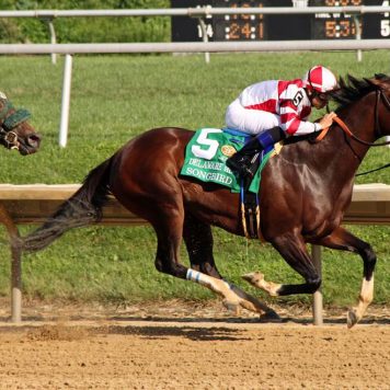 20196239_10155532247713055_1657834637_o