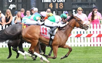 Zipessa seeks second graded win in G3 Dick Memorial