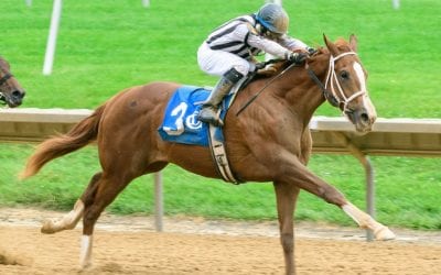 Whereshetoldmetogo, Intrepid Daydream highlight DelPark stakes