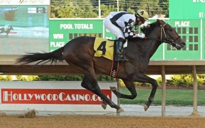 Veteran racetracker Lewis hoping True Heir points way to success