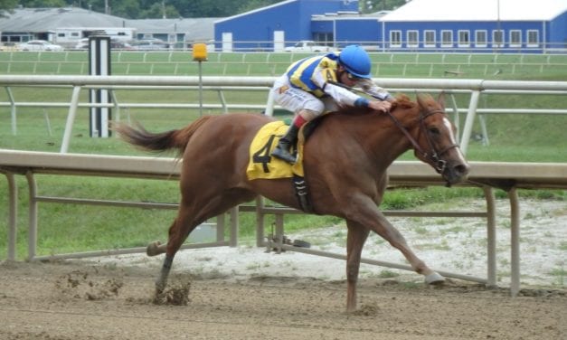 Goiaba sweet in debut victory