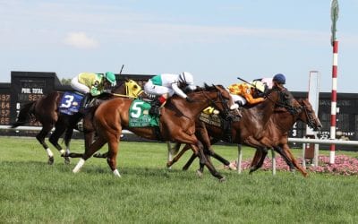 Graham Motion has pair as he seeks 9th Dick Memorial win