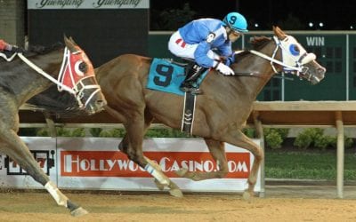 Collins cashing in with Primary Account after break