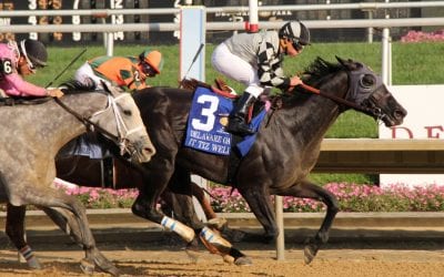 Delaware Park shows small handle gain