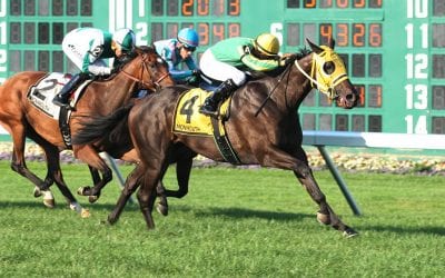 Big M turf meet concludes with big gains