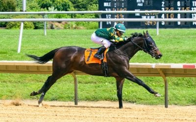 Mike Stidham’s changing, and thriving, with the times