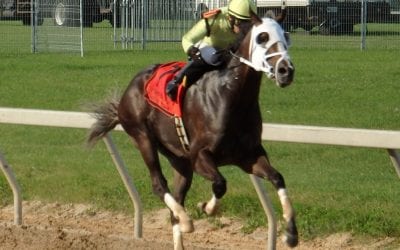 Maryland Commission upholds De Francis DQ of Blu Moon Ace