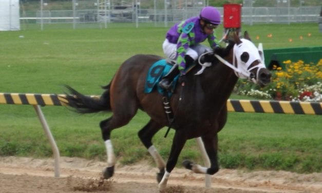 Carolina Gold romps in opening day feature at Timonium