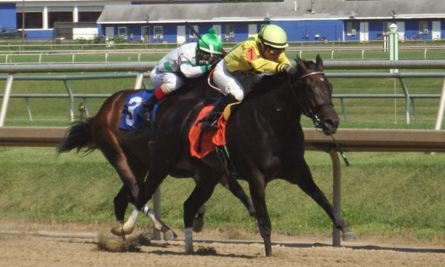 Absent connections take center stage on Maryland Pride Day